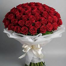 Букет 101 Красная роза Блэк Мэджик в Тайшете