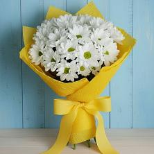 Букет цветов из:  Хризантемы в Тайшете