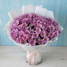Букет цветов из:  Хризантемы #REPLACE_PRED# Тайшете