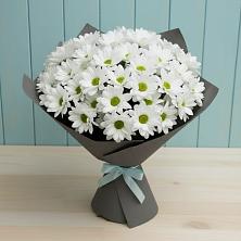 Букет цветов из:  Хризантемы в Тайшете