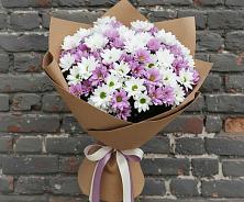 Букет цветов из:  Хризантемы #REPLACE_PRED# Тайшете