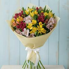 Букет цветов из:  Альстромерии в Тайшете