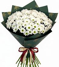 Букет цветов из:  Хризантемы в Тайшете