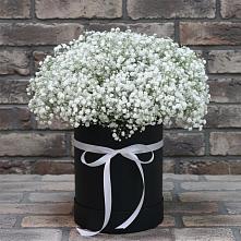 Цветочная композиция из Гипсофила в шляпной коробке в Тайшете