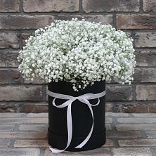 Цветочная композиция из Гипсофила в шляпной коробке в Тайшете