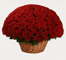 Премиум букет из: Розы в Тайшете