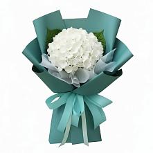 Букет цветов из:  Гортензия в Тайшете
